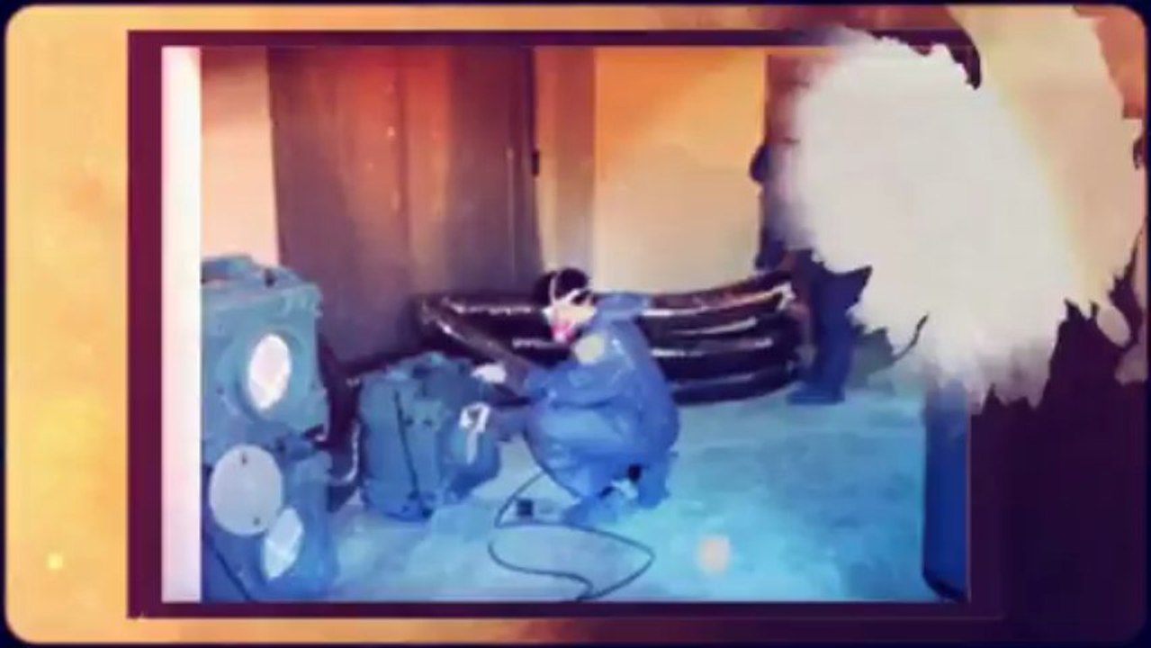 Mold Remediation Phoenix AZ (602) 459-9388 - Emergency Mold Removal