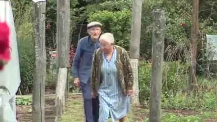 En Lemosin : le doyen de Saint Symphorien sur Couze