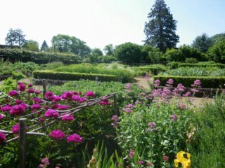 Le jardin médiéval : un voyage dans le passé