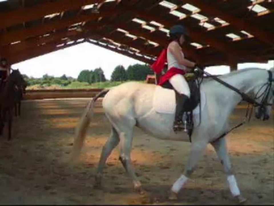 carrousel 2008