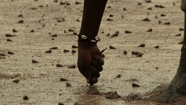 Les Porteurs de Lanternes (Teaser)