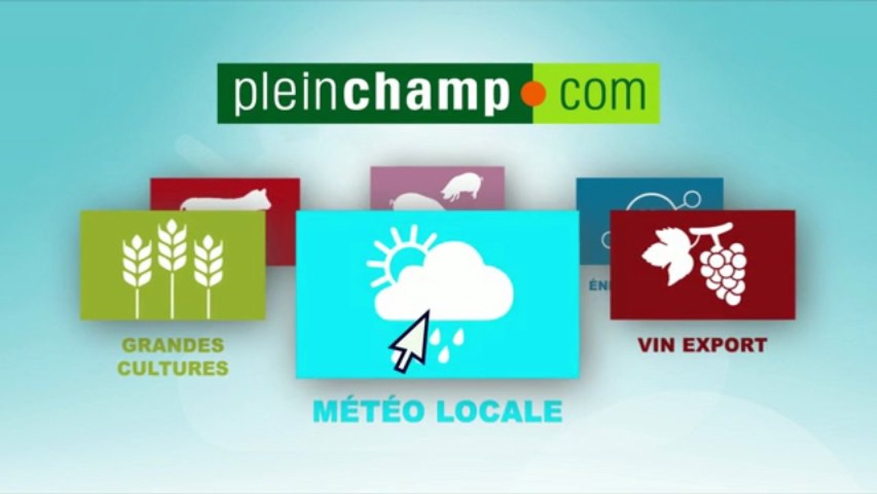 Découvrez le site Pleinchamp.com
