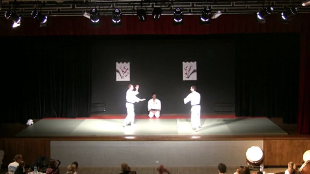 Shorinji Kempo à la 2ème Nuit des arts martiaux japonais à Marines en 2013