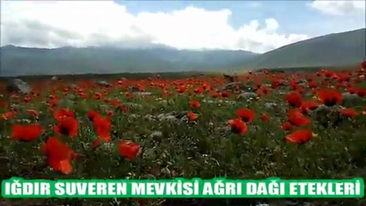 IĞDIR SUVEREN KÖYÜ ''GELİNCİKLER''