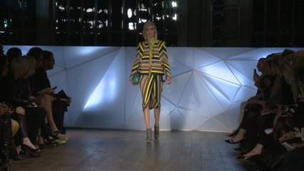 Matthew Williamson Fall 2013