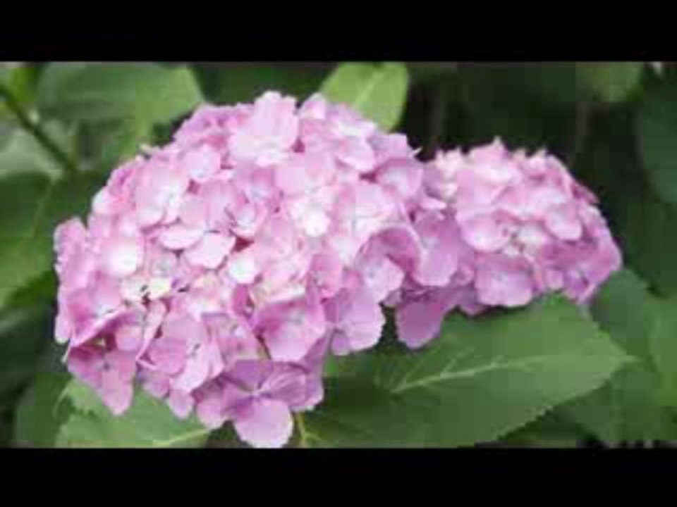 20130527MICHISIGE-SAYUMI,TANAKA-REINA