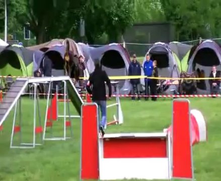 GPF Sélectif Agility 2013 Argenteuil : Françoise+Dana