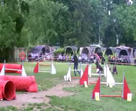 GPF Sélectif Agility 2013 Argenteuil : JUMPING Françoise+Danette