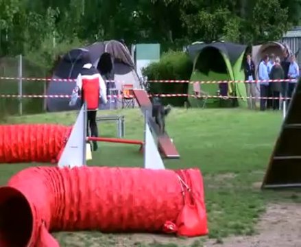 GPF Sélectif Agility 2013 Argenteuil : Philippe et Ella