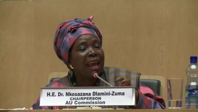 Líder da UA diz que Tribunal Internacional caça africanos