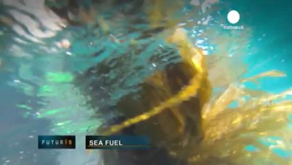 Enerji sorununun çözümü suda mı yatıyor?