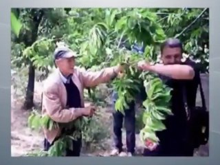 JOURNAL TV BERBERE TELEVISION DU 27 MAI 2013