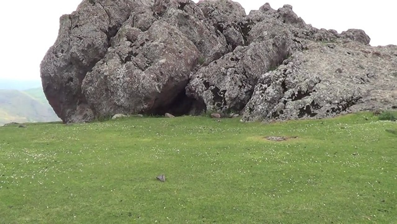 Hambarkaya 19.05.2013 - 00013