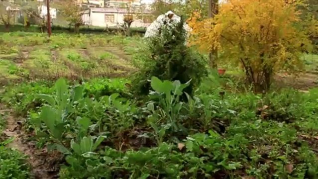 HD trailer Enas allos kosmos documentary