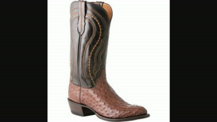 Lucchese Since 1883  M1607.74 (mens)  Sienna Full Quill Ostrich Review
