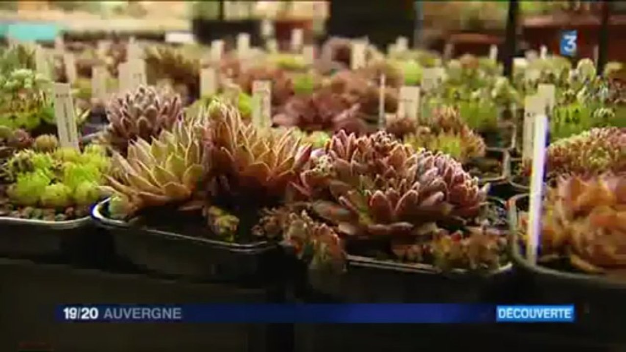 Couleurs Cactus 2013 JT F3 Auvergne