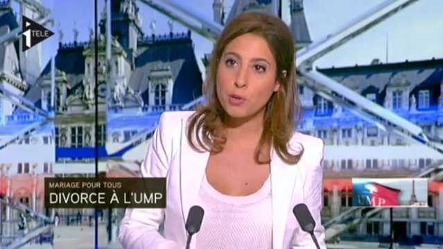 Primaire UMP : mariage pour tous