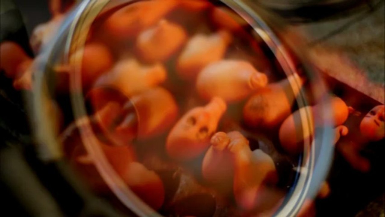 Sorcières et Magiciens