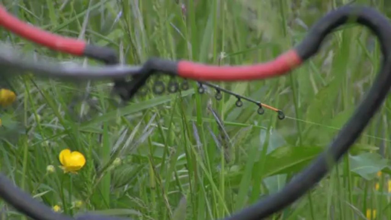 Ambiance pêche feeder