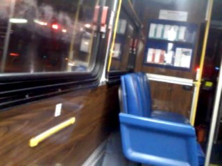 1. MAY 20, 2013 - YANKEE DOODLE, UNION JACK, AND TAG-ALONG SINGAPORE S.I.D., ALL SAY, "WOOF, WOOF, NO NEED BURDEN OF PROOF"