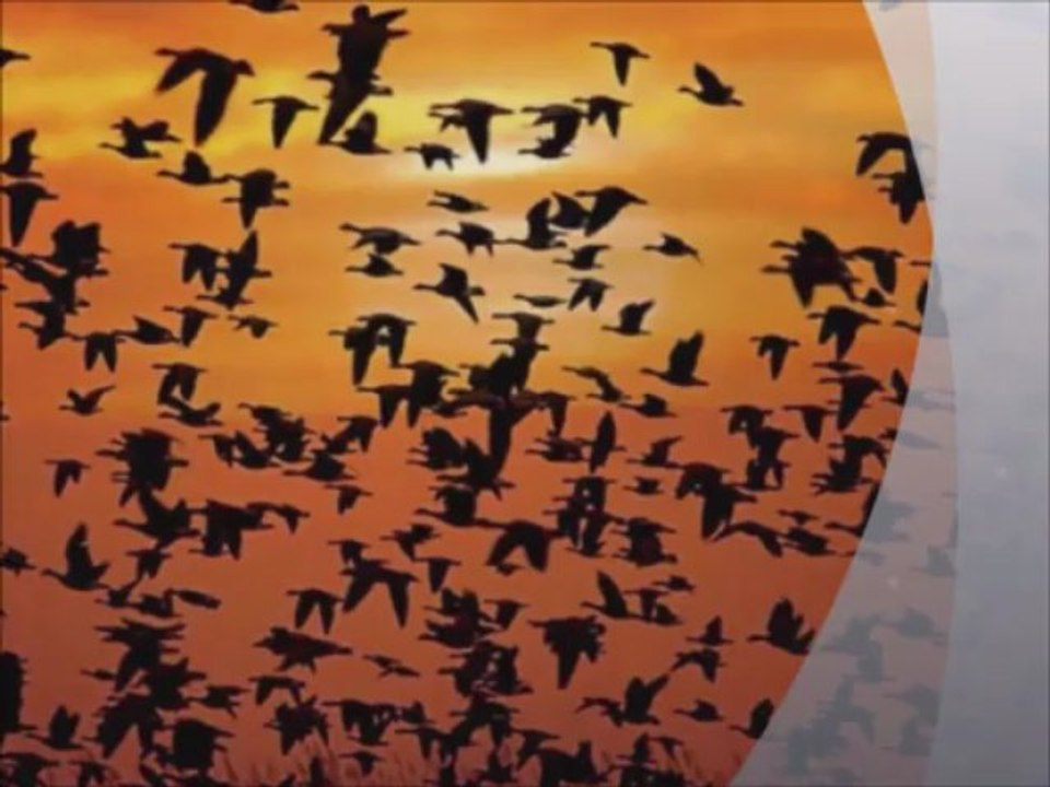 Nasheed italiano "El hamdulillah" nuova v. Mamdouh