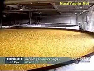 Viski Nasıl Yapılır? | NasılYapılır.Net |