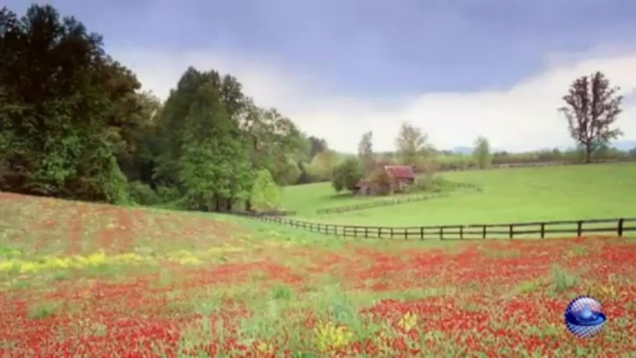 Creemos en el amor - Ray Conniff