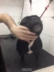 Paula 12do. Keek Moro "hablando" en charlas de peluquería - 27 de Mayo