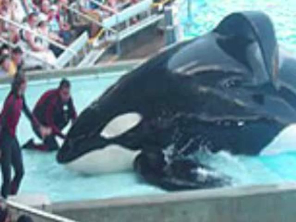 travelodge hotel orlando convention center