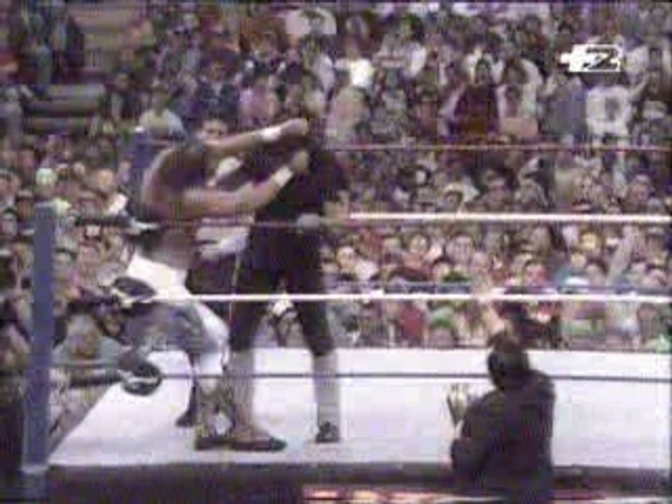 Undertaker vs Jake The Snake