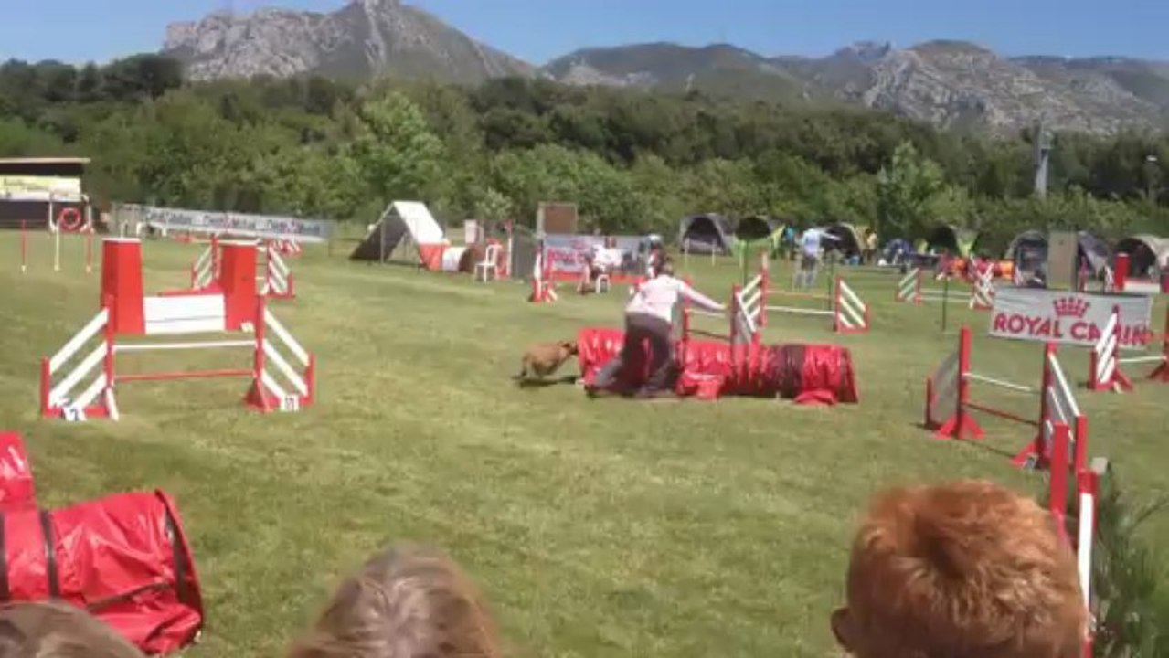 selectif GPF sylvie et dudu