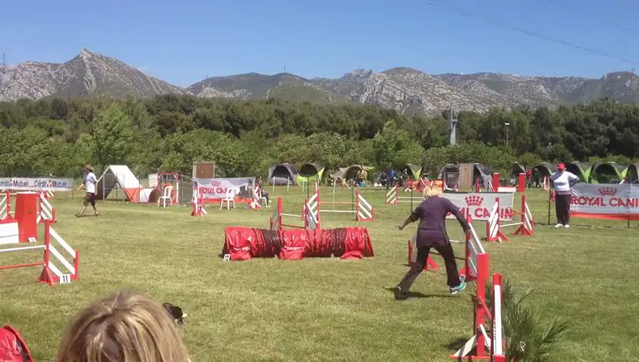 selectif gpf brigitte et usky