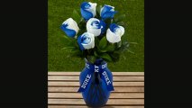 Ftd Duke University Blue Devils Rose Flowers  6 Stems  Vase Included