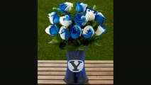 Ftd Brigham Young University Cougars Rose Flowers  12 Stems  Vase Included