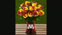 Ftd University Of Minnesota Golden Gopher Rose Flowers12 Stemsvase Included