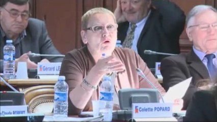 Colette POPARD. Aéroport. Session du 24 mai 2013.