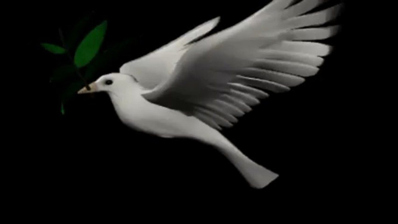 Sonuna kadar Sonsuza kadar - F.Kısaparmak