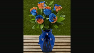 Ftd Boise State University Broncos Rose Flowers  6 Stems  Vase Included