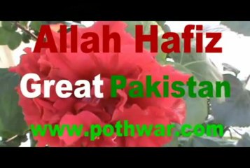 Comedy in Kallar Syedan