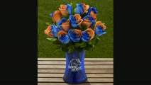 Ftd Boise State University Broncos Rose Flowers  12 Stems  Vase Included
