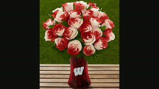 Ftd University Of Wisconsin Badgers Rose Flowers  24 Stems  Vase Included