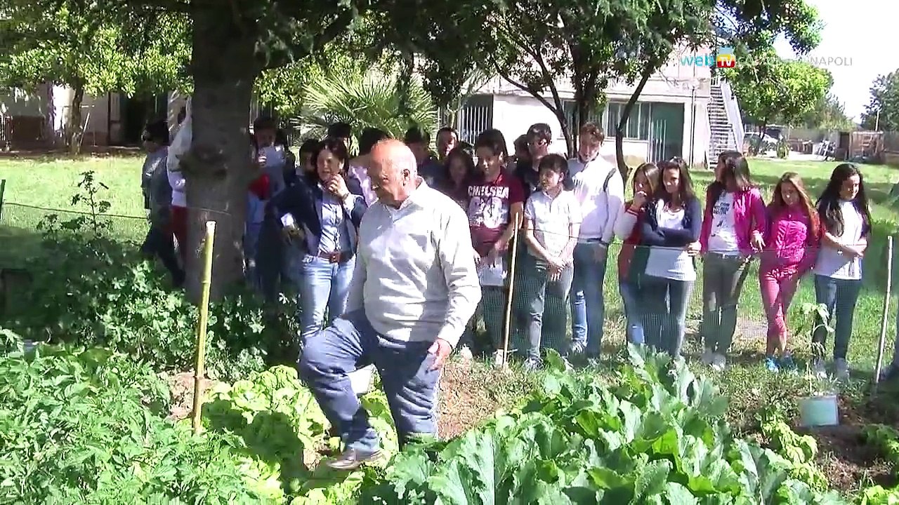 Napoli - L'orto didattico della Ettore Carafa (27.05.13)