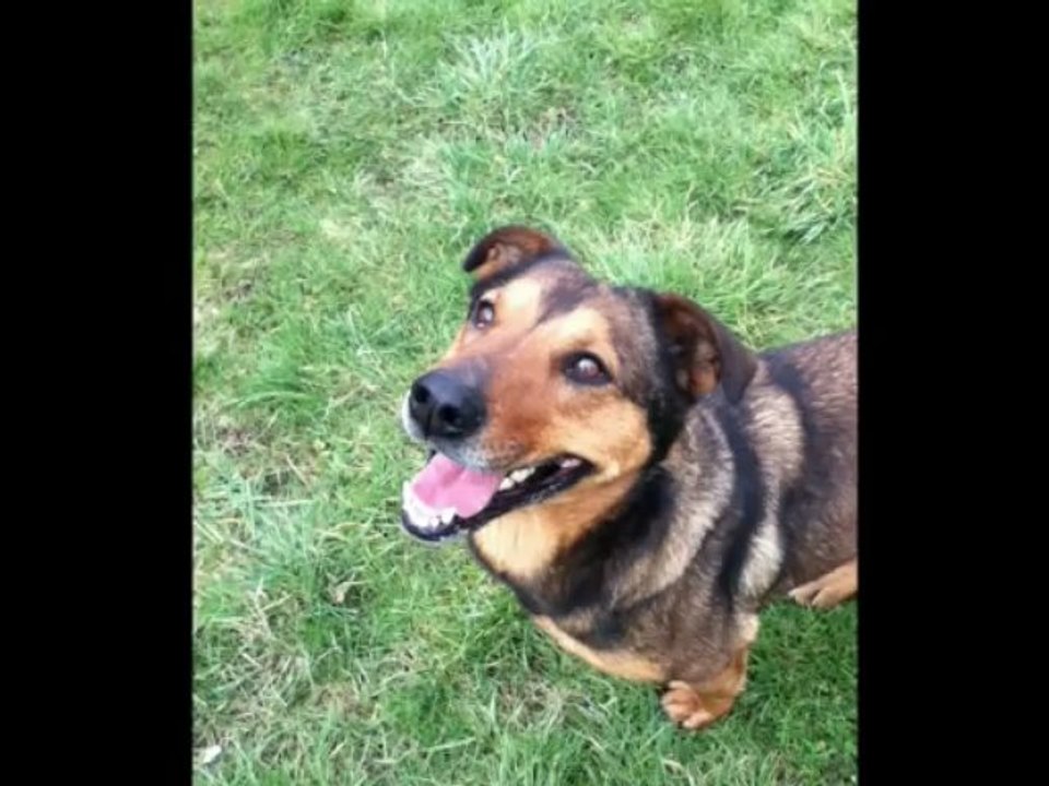 PORTE OUVERTE DE LA SPA DU 25 ET 26 MAI 2013