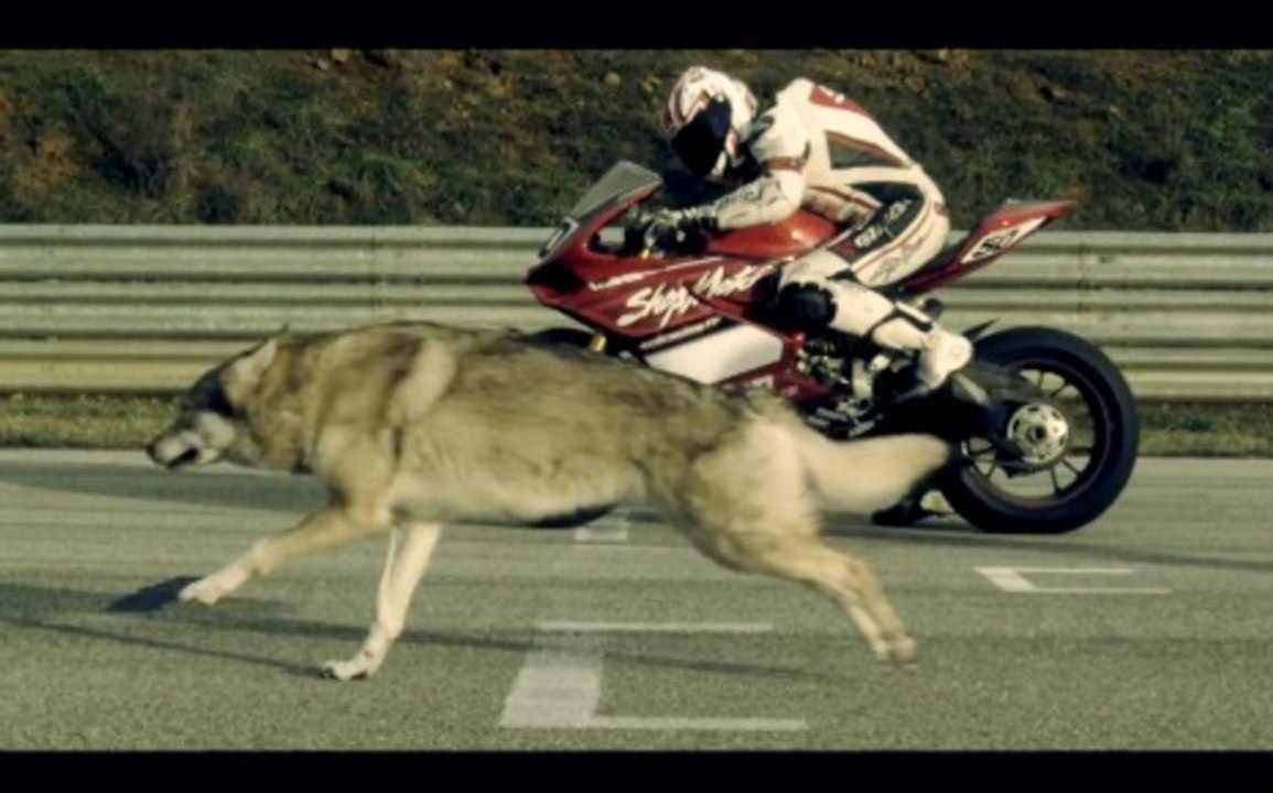 Showreel 2013