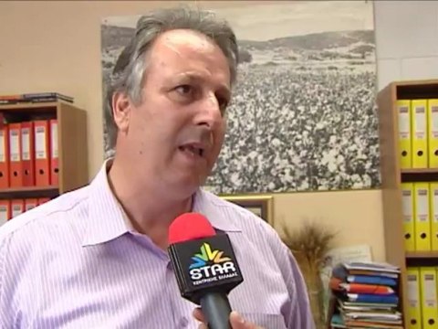 Σε απόγνωση οι τοματοπαραγωγοί της Βοιωτίας