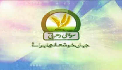 Wild Life Documentries