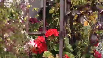 غرناطة مدينة أندلسية ساحرة | يوروماكس