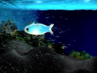 ACME IT 3D animation