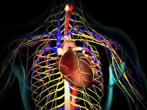 Gerald Schell MD - Neurology_ Spasticity (Understanding Disease Series)