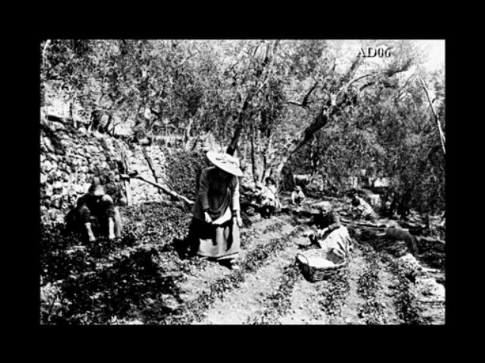 Témoignage partie 1 – Jean Bianchi, à propos de la production de roses à La Colle-sur-Loup et de la fête dédiée à cette fleur  – Corpus ‘’MIP -Grasse’’